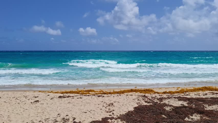 waves crashing on florida atlantic beach with turquoise water and seaweed