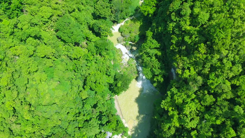 Aerial view of a river and waterfalls flowing through dense tropical forest, Kawasan Falls, Cebu, Philippines.