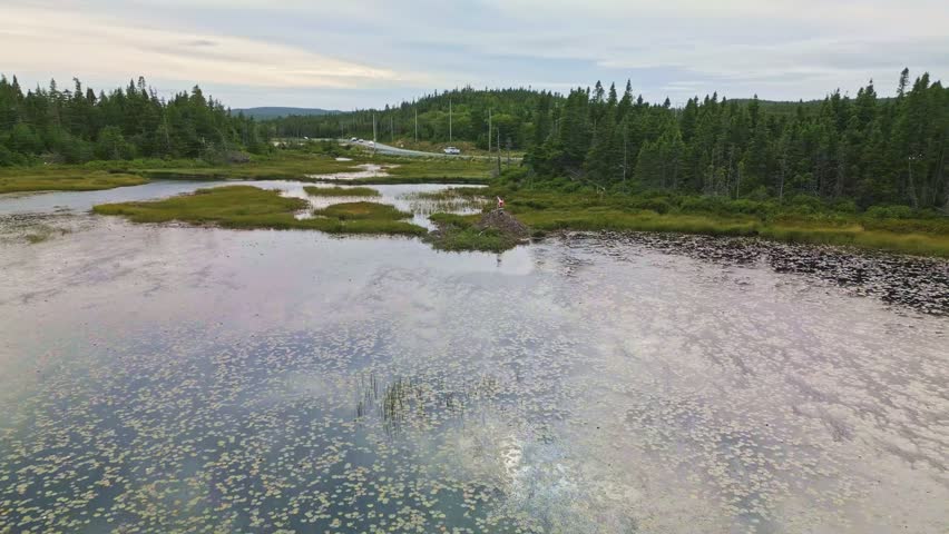 A drone glides over a tranquil freshwater pond near Brigus South capturing reflections of the surrounding forest and hills with lush greenery under a soft sky.
