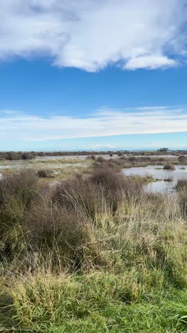 Vehicle drives past grassy wetlands and ponds under blue sky, camera smoothly panning landscape.