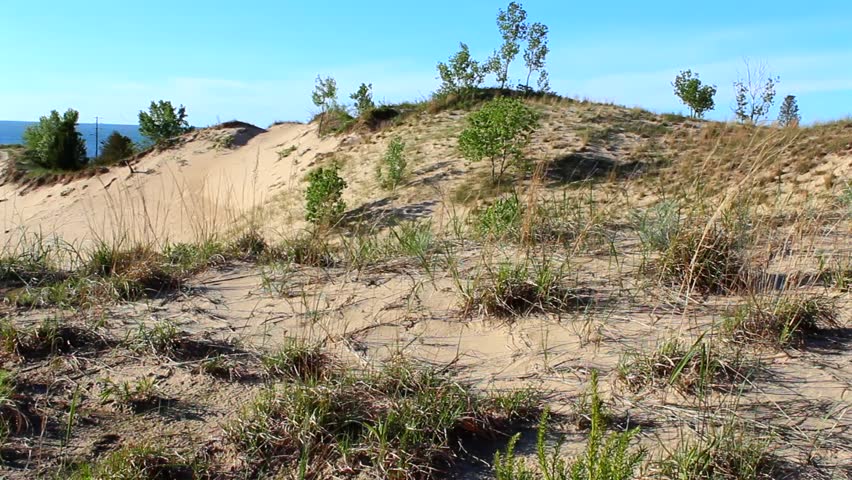A tranquil scene of sandy dunes and sparse greenery under a vibrant blue sky at Indiana Dunes National Park. Natural light highlights the undulating textures of the landscape.