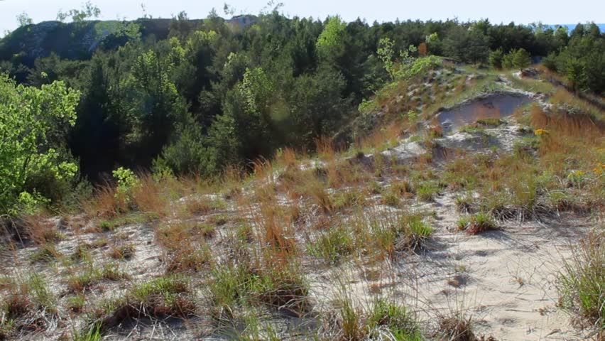 Breathtaking view of Indiana Dunes National Park with rolling dunes and lush forests under clear blue sky. Sunlit terrain highlights natural beauty in serene landscape without any people.