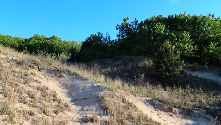 Experience the tranquil beauty of Indiana Dunes National Park with golden hour lighting casting serene shadows over rugged sandy dunes and grassy textures, captured in stunning detail.