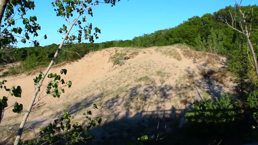 Sunlit dunes at Indiana Dunes National Park in warm, golden hour light. Sandy terrain with vibrant foliage, expansive sky, and dramatic shadows create a serene, picturesque scene.