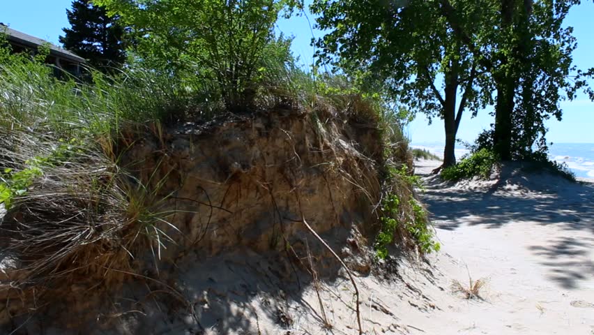 Idyllic daytime view of Indiana Dunes beach with vibrant foliage, soft sand, blue sky, casting shadows creating a tranquil, picturesque scene with no people visible.