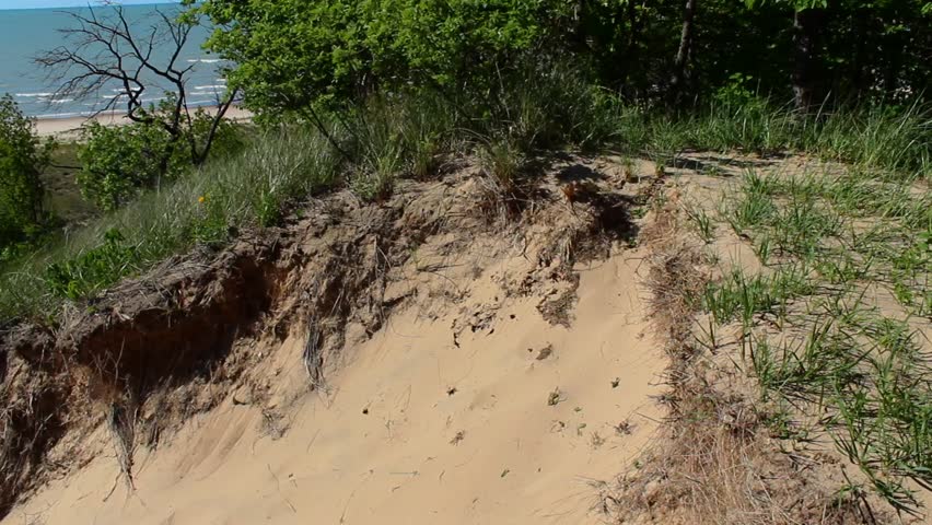 Beautiful view of Indiana Dunes with lush greenery, sandy terrain, and calm lake waters under a clear blue sky, capturing the tranquil essence of nature