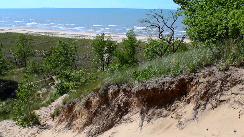 Vibrant sand dunes and lush greenery frame the serene coastline of Indiana Dunes National Park under a bright, clear sky. No people disrupt the natural tranquility.