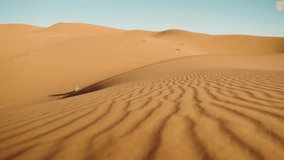 The camera sweeps across the rippling sand dunes of the Sahara Desert in Morocco. The vast expanse of sand stretches as far as the eye can see. A lone plant clings to life in the harsh desert - Powered by Shutterstock - Get 15% off with code: PIKWIZARD15