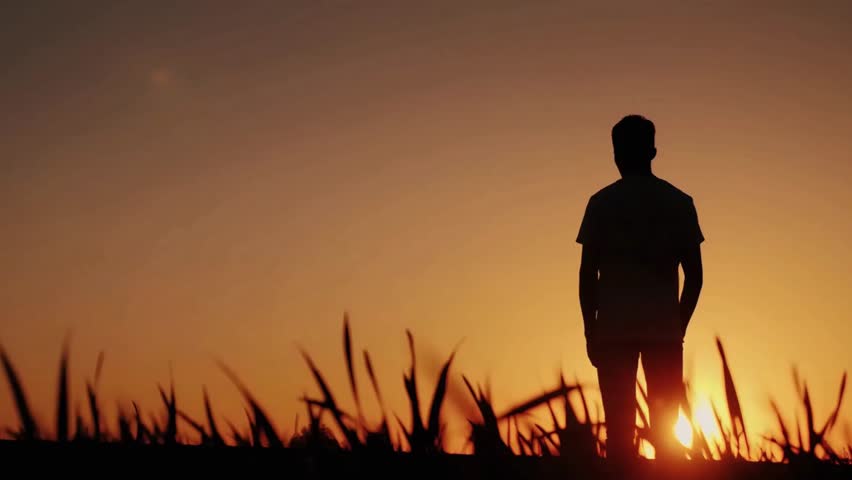 A solitary silhouette of a person standing in a grassy field at sunset.