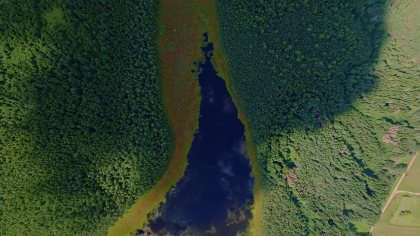 Aerial view of a small lake surrounded by dense green forests in Verkiai Regional Park, Lithuania. A narrow path leads to the lake