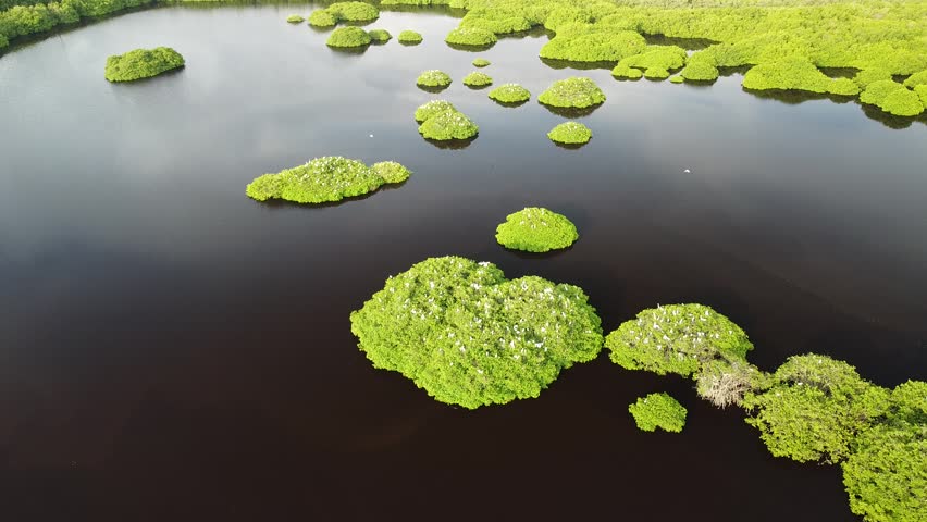 Bird Watching Point, San Blas Nayarit, Mexico, August 28, 2025