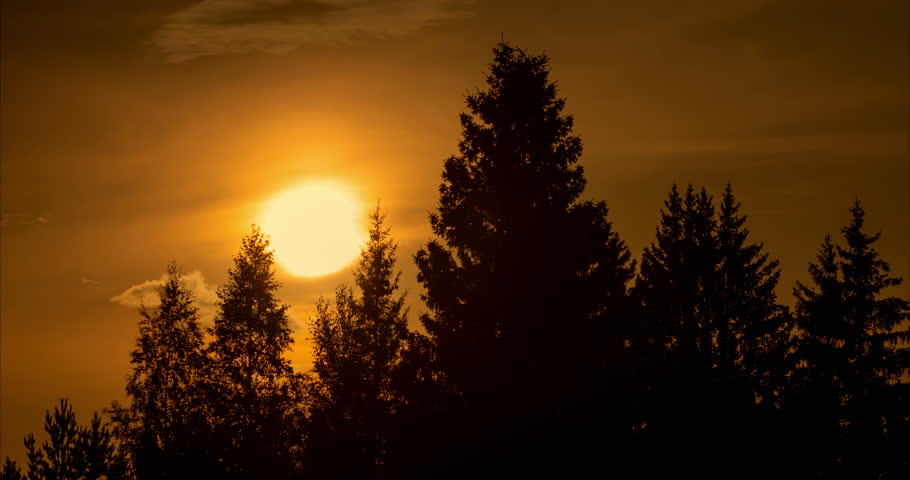 Timelapse of the sunset over the treetops. High quality 4k footage