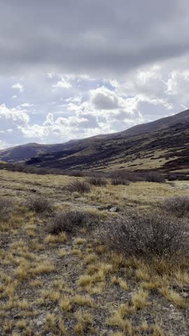 guanella pass, colorado, fall colors, autumn landscape, mountain pass, golden aspens, aspen grove, yellow leaves, quaking trees, autumn forest, changing leaves, fall foliage, colorado mountains