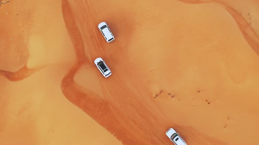 High flight aerial of a desert safari car sand dunning across golden dunes during sunset in the Dubai desert, United Arab Emirates.