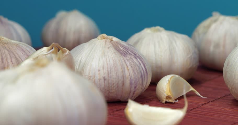 Garlic rotates on blue background. Garlic - vegetable with many beneficial properties for health. Garlic, Allium sativum, species of bulbous flowering plants in genus Allium