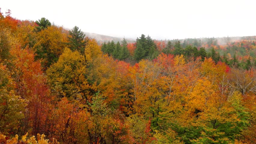 Scenic view of colorful foliage in White mountain national forest in New Hampshire along Kancamagus highway