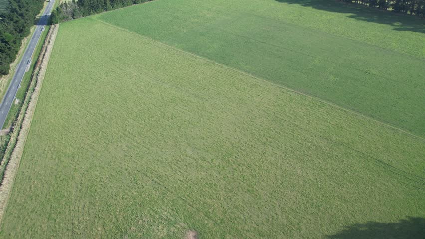 Rising aerial drone shot near Christchurch, NZ, transitioning from green farmland and hedgerows to reveal dramatic snow-capped mountain ranges in the distance under a clear blue sky.
