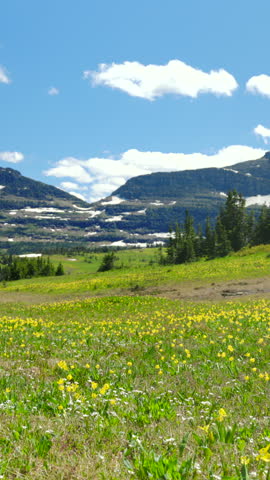 Discover and explore the breathtakingly beautiful landscapes of Glacier National Park, which features lush meadows, majestic snowcapped mountains, and stunningly vibrant blue skies that inspire awe