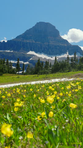 Discover the stunning beauty of Glacier National Park in Montana, where vibrant flowers bloom among towering mountains and bright blue skies invite exploration of its landscapes and wildlife
