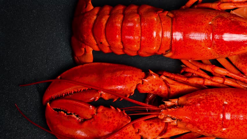 Two boiled lobsters. Luxury food on stone background. Top view. Fresh seafood.