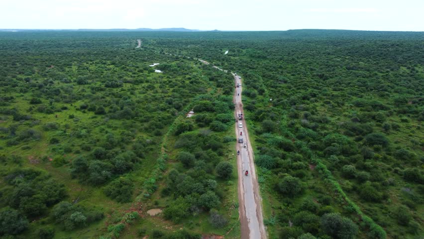 Aerial view of vehicle traffic passing through dense forest in dholpur rajasthan of india