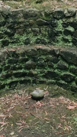 Stone walls inside an ancient fortress. Historical stone foundations of old buildings preserved in an open archaeological park. Historical stone foundations of old buildings.