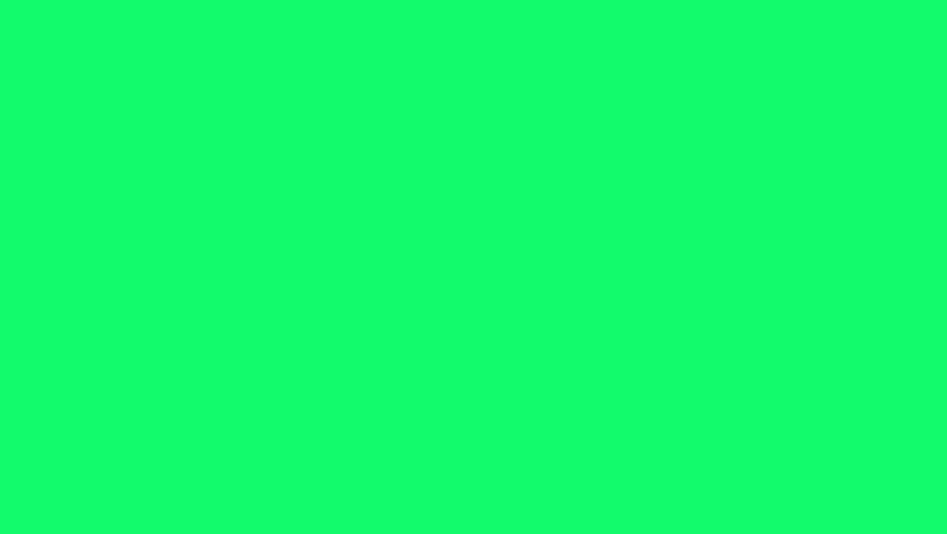 Free Text Reveal Animation Video on Green Screen Background | Bold Typography Motion Graphic
