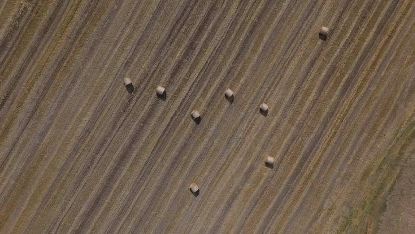 Aerial top view of harvested farmland with hay bales scattered across field