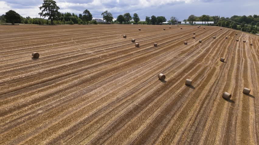 Harvested field with round hay bales on farmland countryside aerial view
