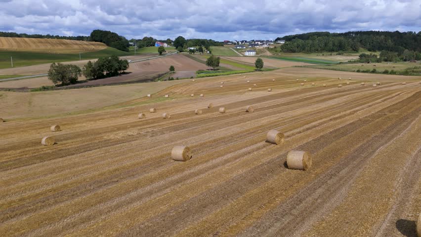 Wide farmland landscape with hay bales on harvested field and rural village aerial view