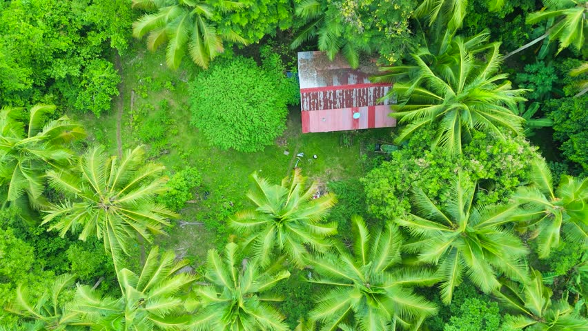 Aerial view of a red roof house surrounded by dense tropical forest and palm trees, Cebu, Philippines.