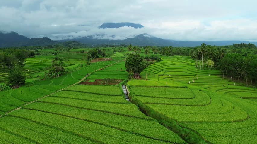 Wonderful sunrise scenery indonesia nature mountain valley forest with bright sky