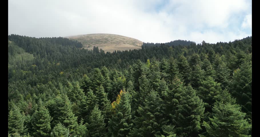 a lonely cabin in the highland forests