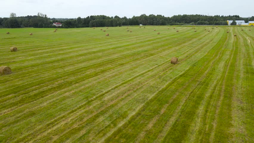 Aerial drone flying over freshly made silage wheat hay bales on a grassy green agricultural farm field while a countryside highway is in the backgroudn where cars are seen driving. Cloudy day time.