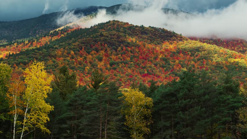 Beautiful Autumn foliage timelapsing with stunning nature colors from Adirondack upper New York State, USA