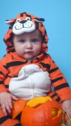  baby boy in tiger costume with jack o lanterns sitting on light blue background, child celebrating his first halloween.
