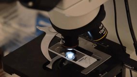 Laboratory technician analyzing samples under microscope. Medical researcher observing samples under microscope. Scientist using microscope for research examination. - Powered by Shutterstock - Get 15% off with code: PIKWIZARD15