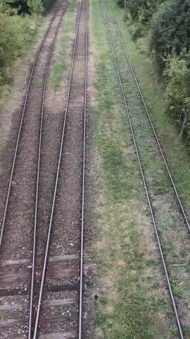 High-angle view of several parallel railway lines cutting through dense trees under a cloudy sky. Concept for transportation infrastructure, logistics and mobility, with strong leading lines, vanishin