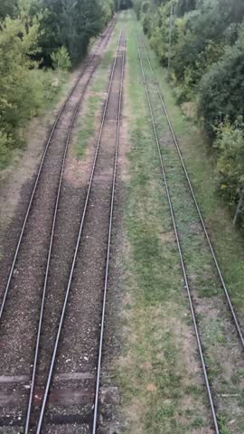 High-angle view of several parallel railway lines cutting through dense trees under a cloudy sky. Concept for transportation infrastructure, logistics and mobility, with strong leading lines, vanishin