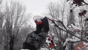 winter man on a walk you can see snow-covered trees snow branches man hand holding bush with berries - Powered by Shutterstock - Get 15% off with code: PIKWIZARD15