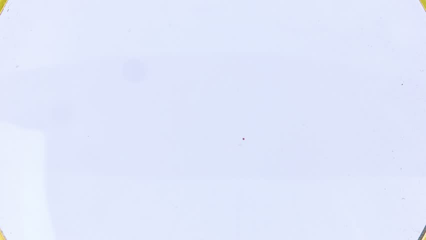The appearance of the conceptual word NAME through a glass magnifier on a gray background. Business concept.