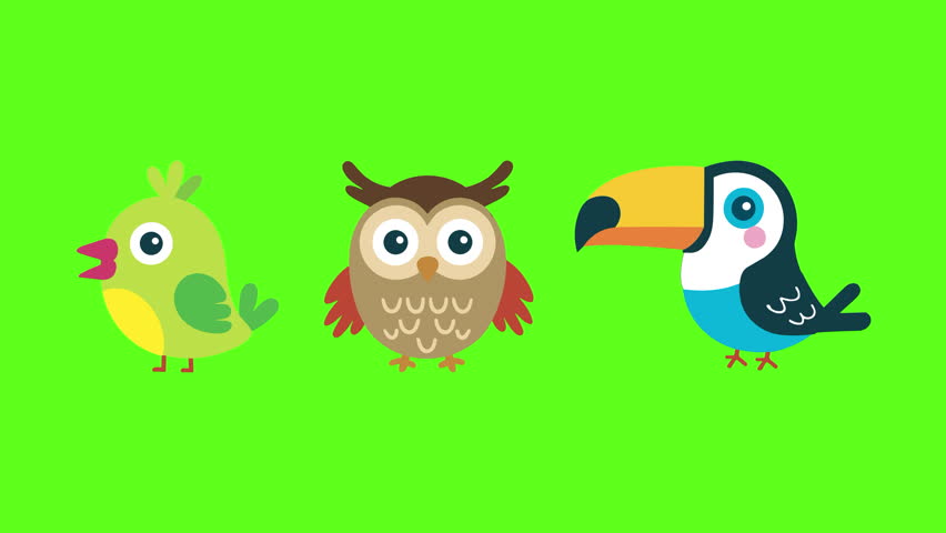 A Green Finch, A Wise Owl, and A Colorful Toucan on a Green Screen