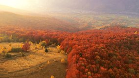 Spectacular bird's eye view unfolds over rolling hills adorned with fiery autumn colors. Cinematic drone footage. Atmospheric and idyllic place. Filmed in UHD 4k. Discovery the beauty of earth. - Powered by Shutterstock - Get 15% off with code: PIKWIZARD15