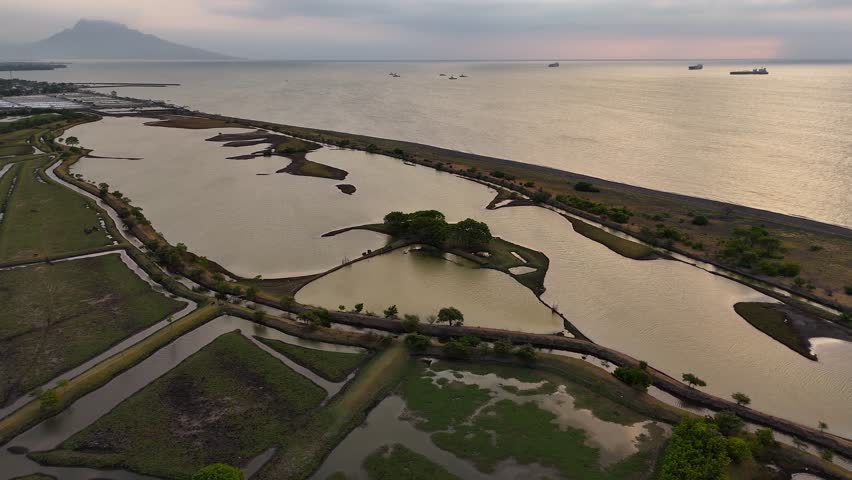 Breathtaking aerial view of meadows swamp, showcasing vibrant wetlands, lush greenery, and tranquil waterways in summer. Enjoy the beautiful serenity of nature.