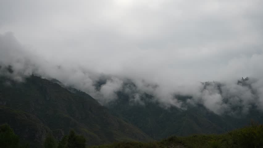 Dark Clouds Over Pine Forest Mountains