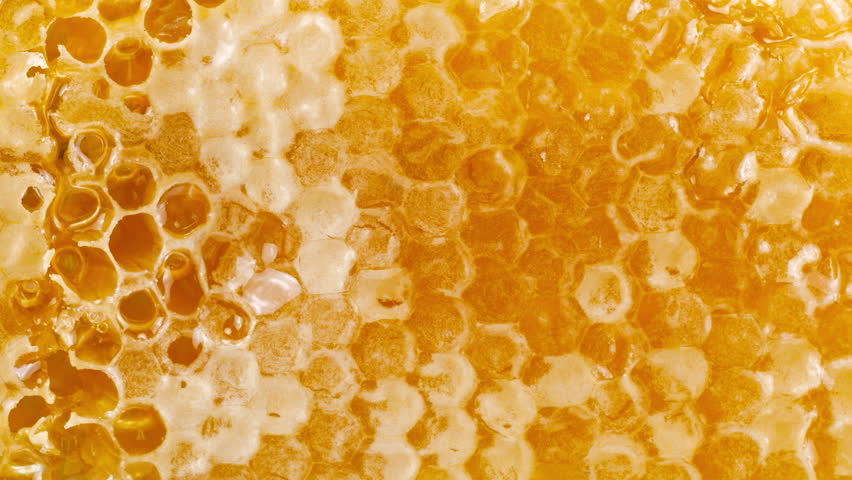 Streams of golden honey drip and pour onto honeycombs on the background wooden planks with lavender branches. Close-up of wax honeycombs. Shooting macro. Healthy eating concept.