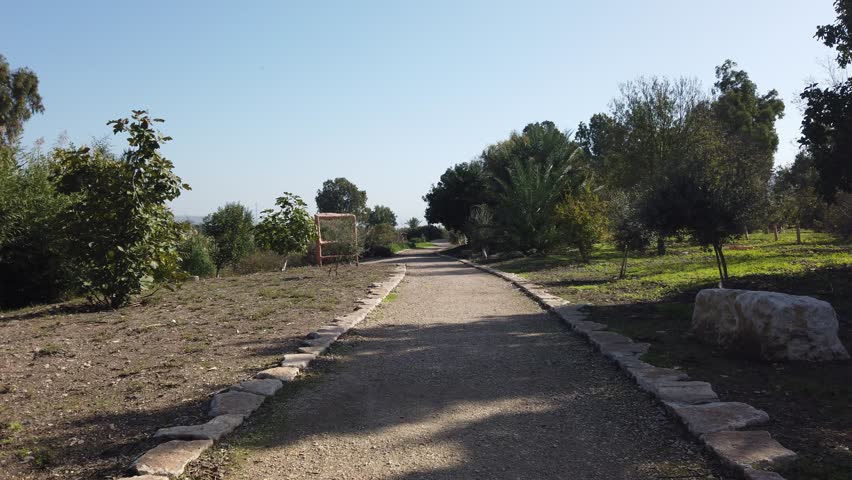 Video Gideon Grove Nahal Harod Trail in Israel