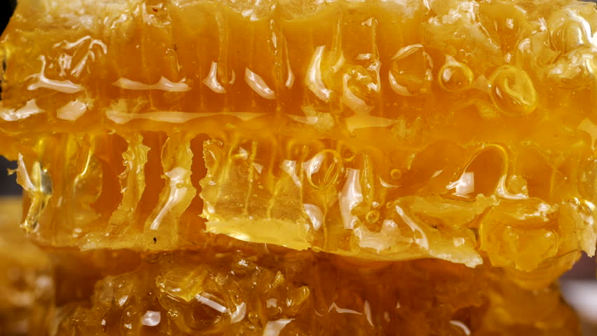 Golden honey flows down honeycombs. Close-up of wax honeycombs. Shooting macro. Healthy eating concept.