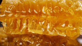 Golden honey flows down honeycombs. Close-up of wax honeycombs. Shooting macro. Healthy eating concept. - Powered by Shutterstock - Get 15% off with code: PIKWIZARD15