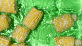 Fresh Corn Cobs Splashing in Water Top View Slow Motion - Powered by Shutterstock - Get 15% off with code: PIKWIZARD15